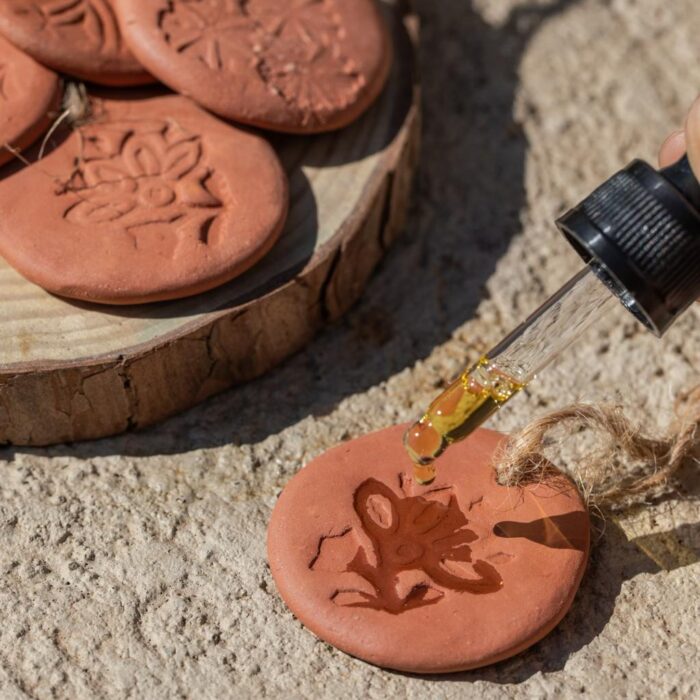 WhatsApp Image 2024-04-30 at 11.59.39 AM