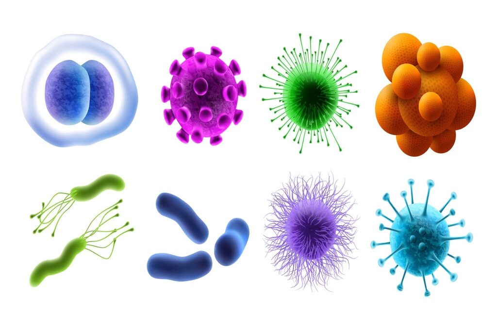 Glow with your Microbiome