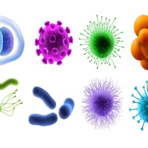 Hormone Disruptors in Skincare