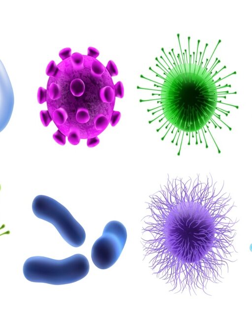 Glow with your Microbiome